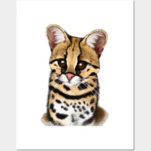 Cute Margay Drawing Posters and Art